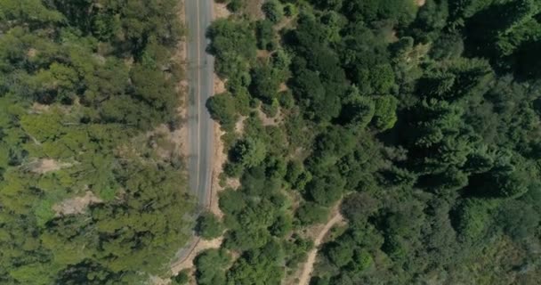 Back Road Berkeley Hills Aerial Shot Looking Northern California — Vídeos de Stock