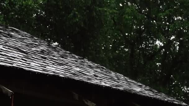 Дощ Виливається Дах — стокове відео