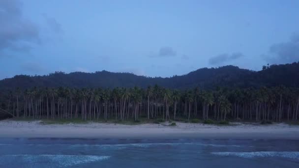 Aerial Pedestal Tilting Empty Beach Palm Trees Calm Waves Dusk — ストック動画