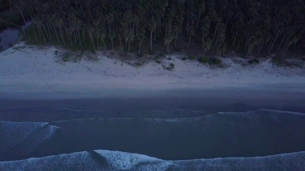 Aerial View Empty Beach Palm Trees Calm Waves Dusk Long — Stockvideo