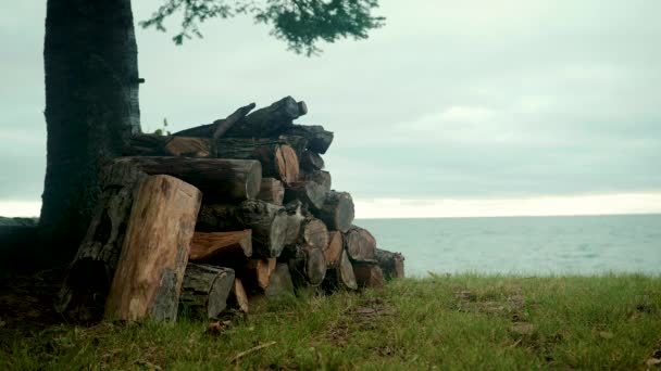 Log Pile Shores Lake Superior — Wideo stockowe