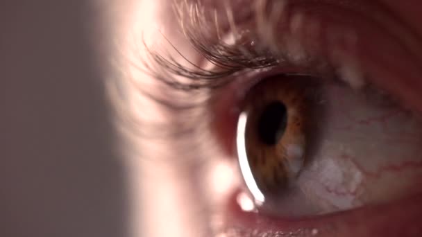 Look Woman Eye — Videoclip de stoc