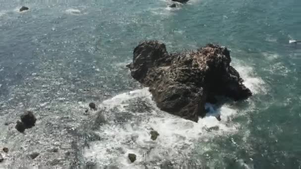 Birds Sitting Arched Rock Ocean Waves Crashing Beach Bodega Bay — Video