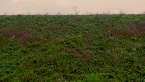 Antenowe Ujawniają Spokojne Jezioro Odblaskowe Początku Jesieni — Wideo stockowe