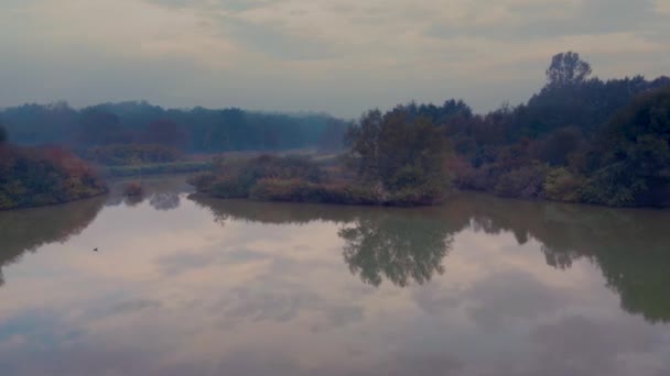 Tyłu Drone Strzał Jasne Odblaskowe Jezioro Lesie Pięknej Jesieni Słoweńskiej — Wideo stockowe