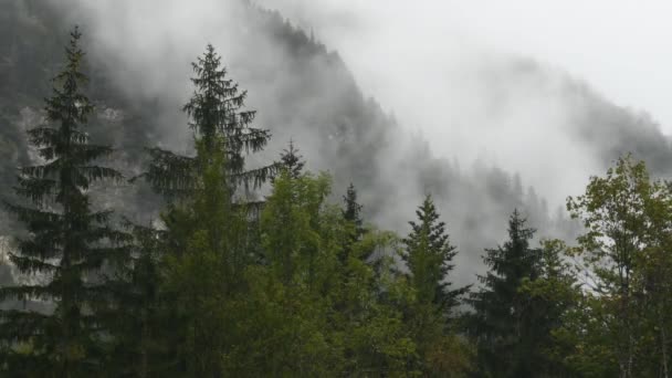 Rainy Day Alpine Valley Low Clouds Logarska Dolina Slovenia Clouds — Stock videók