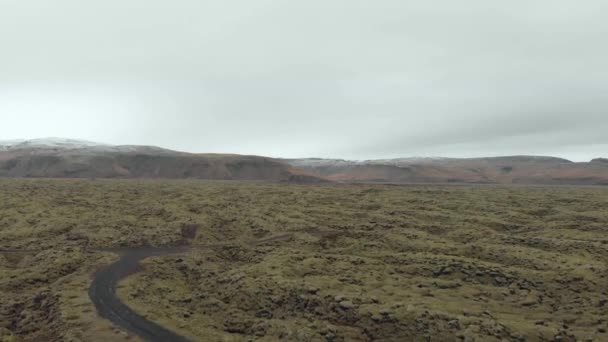 Aerial Shot Moss Covered Lava Field Iceland — Stockvideo