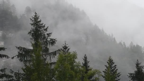Deszczowy Dzień Dolinie Alpejskiej Niskimi Chmurami Logarska Dolina Słowenia Chmury — Wideo stockowe