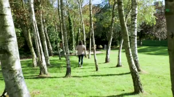 Γυναίκα Περπατώντας Ανάμεσα Ασημένιες Σημύδες Ένα Καταπράσινο Περιβάλλον — Αρχείο Βίντεο