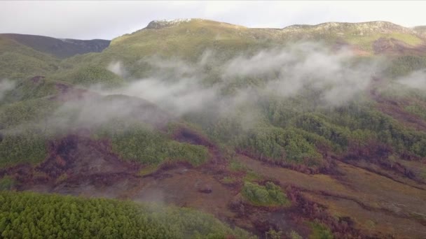 Aerial Flight Foggy Mountains Green Red Forest Tasmania Australia Long — Stockvideo