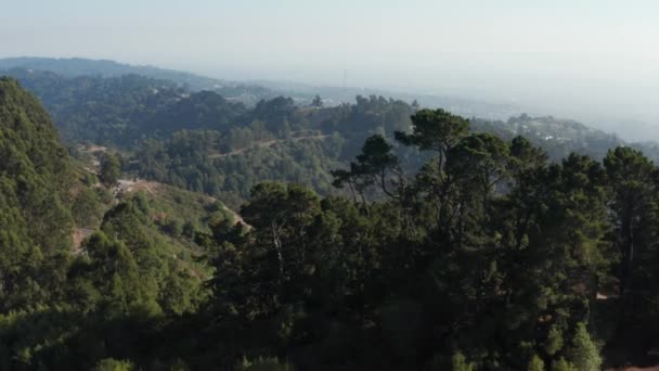 Rising Large Eucalyptus Trees Berkeley Hills Aerial Northern California — Stock videók