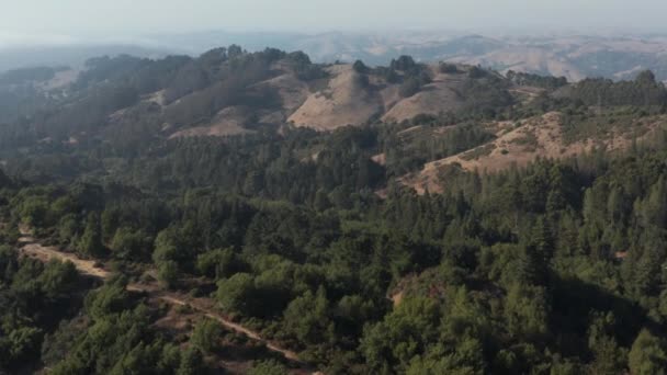 Berkeley Hills Aerial Northern California — Stockvideo