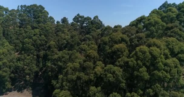 Berkeley Hills Aerial Northern California — Stock Video