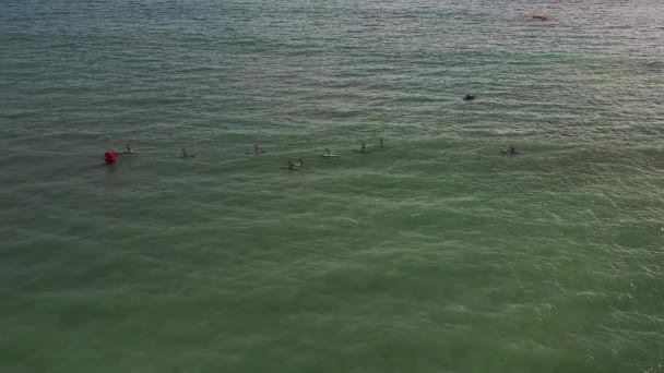 Drone Footage Stand Paddle Board Racing Video Take Late Afternoon — Video Stock