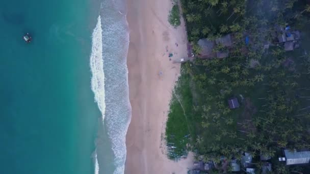 Aerial Tracking Shot Turquoise Waters Empty Beach Palm Trees Nacpan — Stockvideo