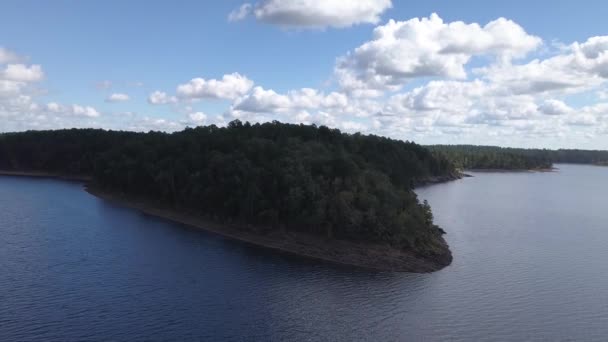 Високі Дерева Півострові — стокове відео