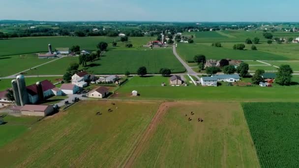 Amish Zondag Vergadering Platteland Landerijen Zoals Gezien Door Drone — Stockvideo