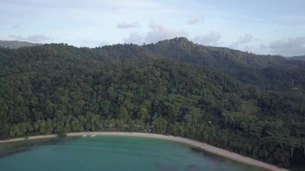 Wide Aerial View Calm White Sand Beach Natural Wild Jungle — Vídeo de Stock