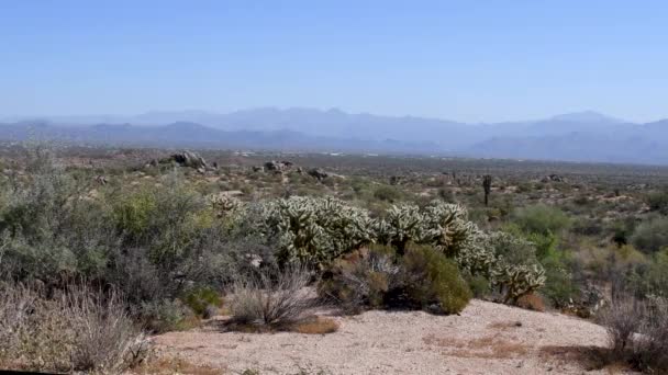 Sonoran Desert Stretches Out Valley Mcdowell Mountains Scottsdale Arizona — 图库视频影像
