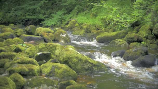 Claddagh River Donegal Ireland Slow Motion Water Flowing Camera Right — Stockvideo