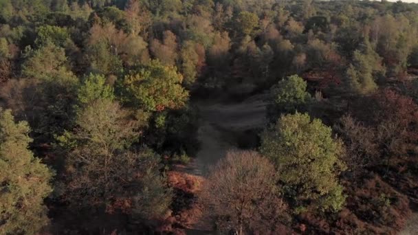 Aerial Moorland Forest Revealing Sand Excavation Middle Forest — Vídeos de Stock