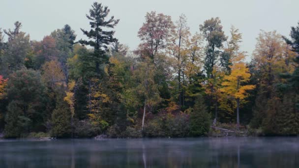 Spooky Mist Floats Lake Gloomy Fall Day Colorful Forest — 비디오