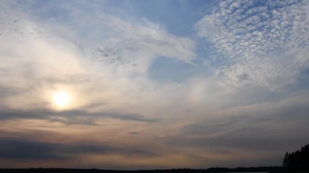 Beautiful Timelapse Video Sunset Summer Finland Some Flies Flying Front — Stock video