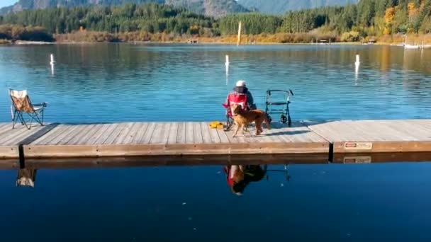 Man Throwing Stick Dog Dock Autumn — Video Stock