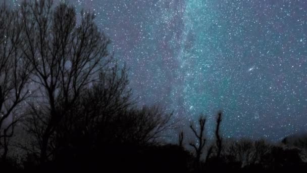 Млечный Путь Звезды Медленно Движутся Ночном Небе Лесу — стоковое видео