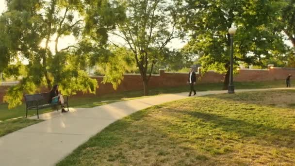 Man Approaches Woman Bench Park Golden Hour — Stock video