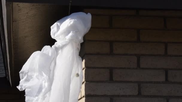 Halloween Ghostly Skeleton Blowing Breeze Daytime — Video Stock