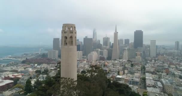 Aerial View San Francisco California Usa Coit Tower Telegraph Hill — ストック動画