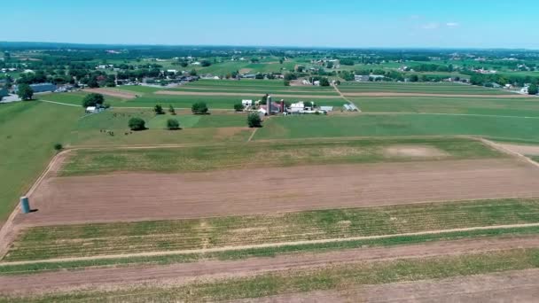 Amische Landschaft Und Ackerland Aus Der Sicht Einer Drohne — Stockvideo