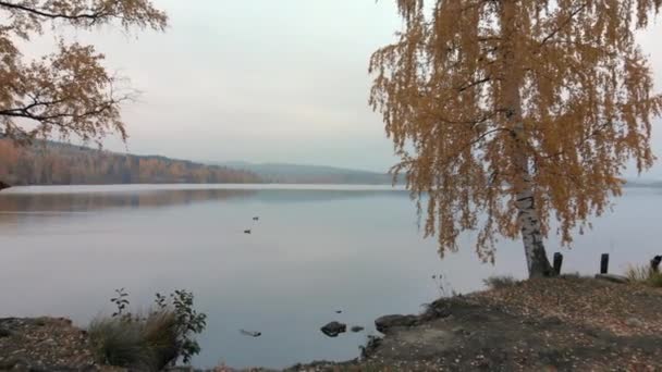 Bela Área Descanso Por Lago Calmo Lado Uma Estrada Rural — Vídeo de Stock