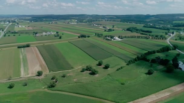 Amish Kırsal Drone Tarafından Görüldüğü Gibi Tarım Arazileri — Stok video