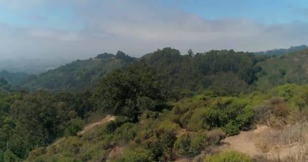 Berkeley Hills Aerial Northern California — Vídeo de stock