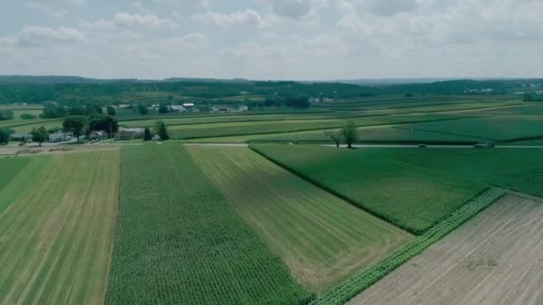 Amische Landschaft Und Ackerland Aus Der Sicht Einer Drohne — Stockvideo