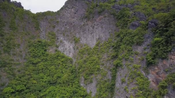 Aerial View Limestone Cliffs Vegetation Nido Palawan Philippines Pedestal — Stock video