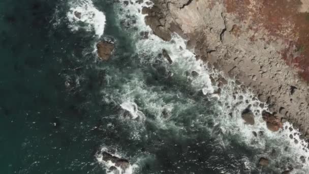Беспилотник Смотрящий Вниз Волны Примыкает Берегу Бодега Бэй Хайвей Северной — стоковое видео