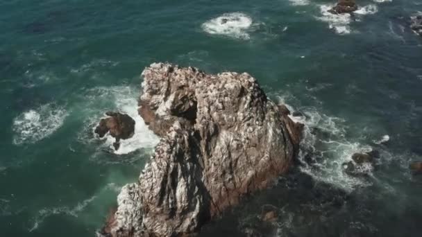 Birds Sitting Arched Rock Ocean Waves Crashing Beach Bodega Bay — Wideo stockowe