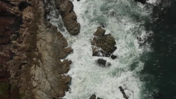 Aerial Video Coast Northern California Bodega Bay — Stock video