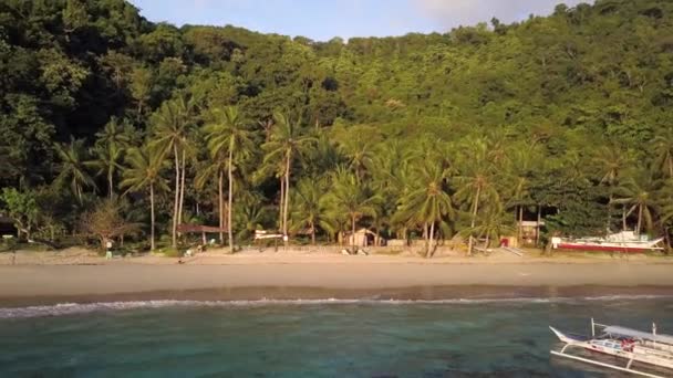 Aerial View Beautiful White Sand Beach Natural Jungle Sunny Day — Video Stock