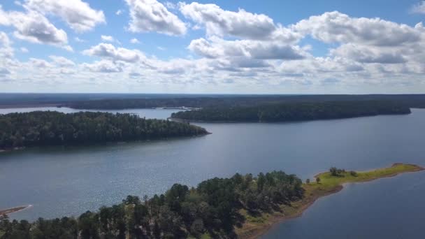 Blue Lake Thick Forest Aerial — Stockvideo