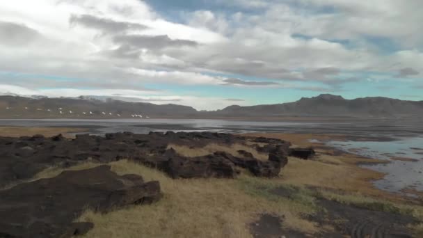 Stunning Aerial Shot Swans Flying Low Icelandic Landscape — Vídeo de stock