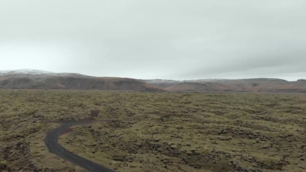 Aerial Shot Moss Covered Lava Field Iceland — 비디오