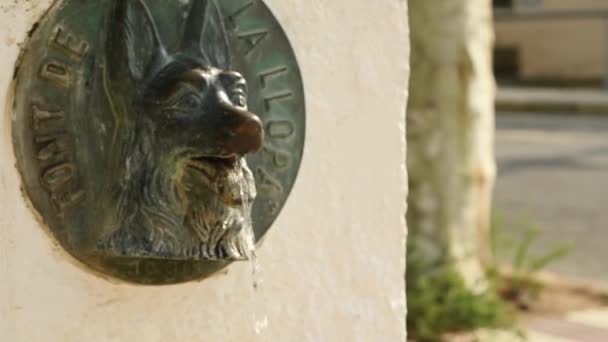 Close Public Water Fountain Metal Animal Head Wolf Shape Flows — Wideo stockowe