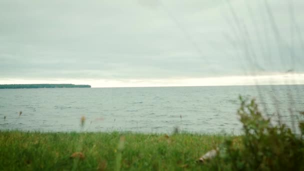 Lake Superior Shoreline Grass Blowing Gently Wind — Stok video