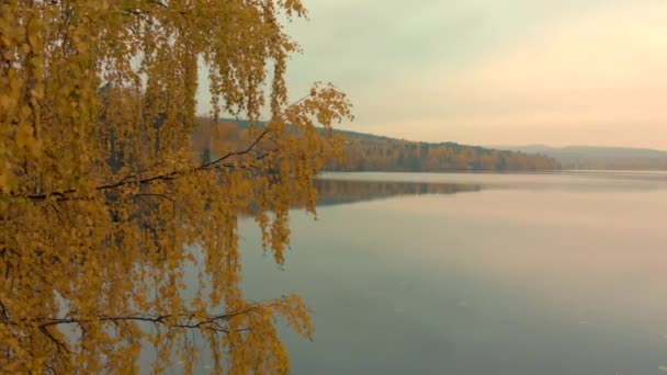 Revealing Beautiful Calm Lake October — ストック動画