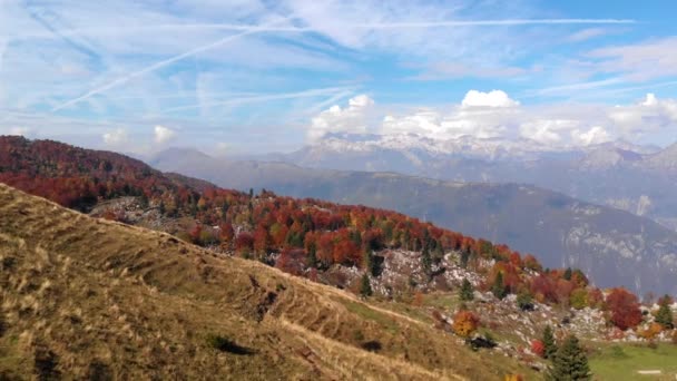 Flying Pasture View Julian Alps — Wideo stockowe