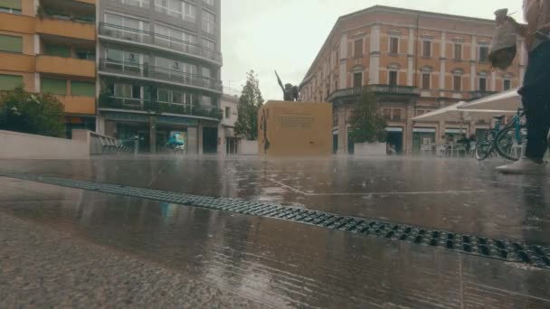 Woman Walks Her Dog Urban Area Rainy Day — Vídeo de stock